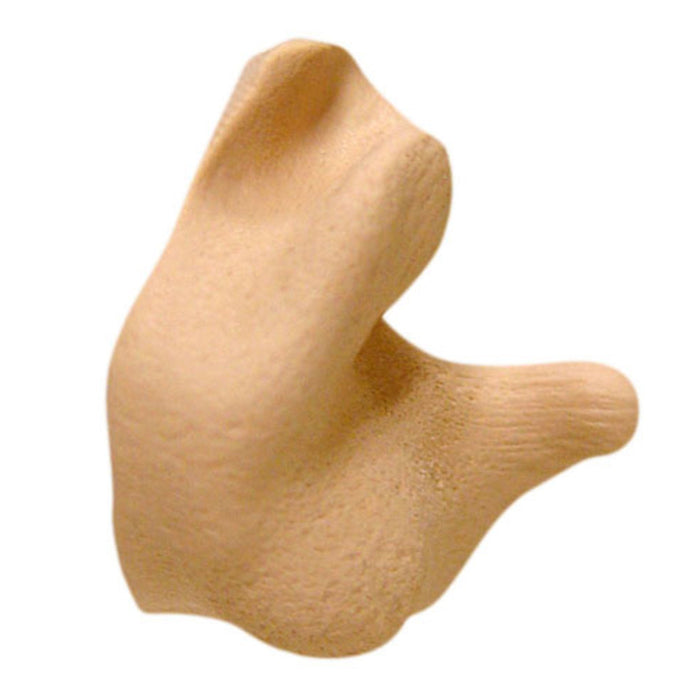 Radians Custom Molded Earplugs - Molds in 10 Minutes